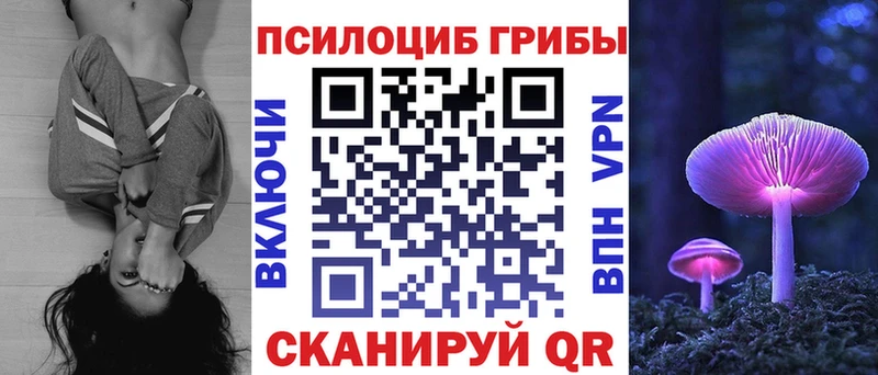закладка  Узловая  Псилоцибиновые грибы прущие грибы 